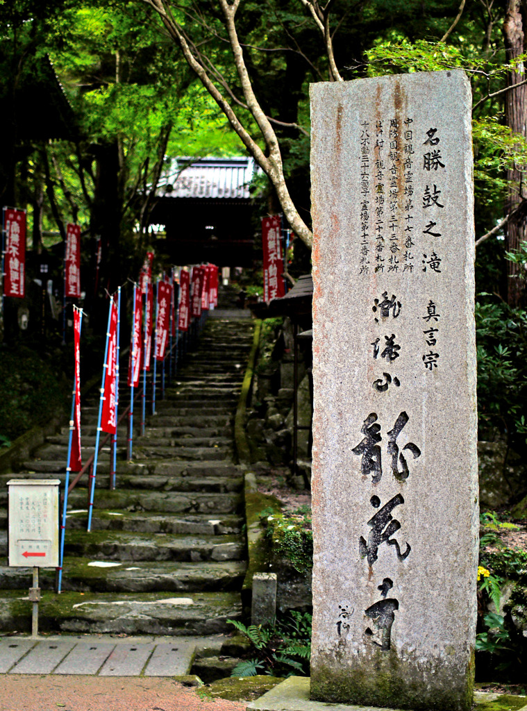 龍造寺0