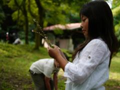 阿蘇キャンプ場