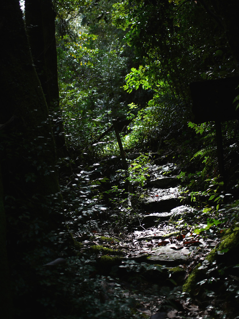 龍造寺19