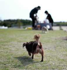 宇部空港の公園7