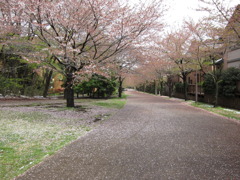 2010年4月