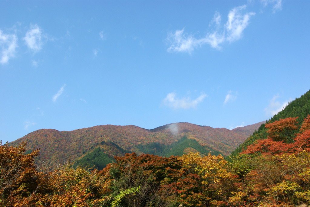 カラフル絨毯