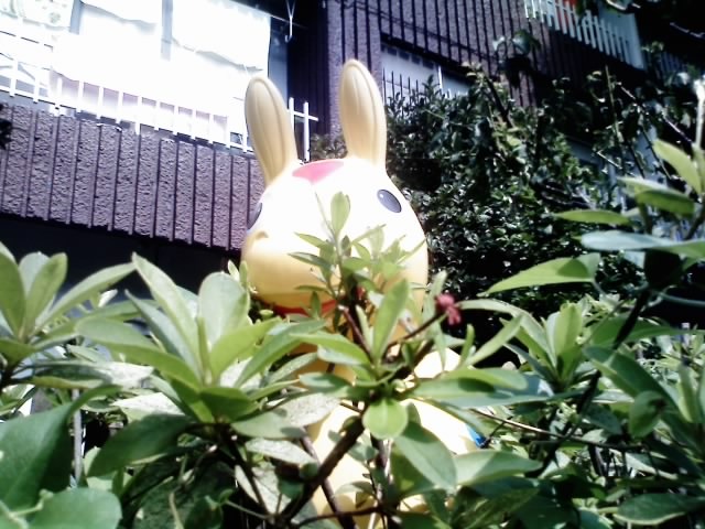 Ｗｈｅｒｅ　ｄｏ　ｙｏｕ　ｃｏｍｅ　ｆｒｏｍ？（どこから来たの？）