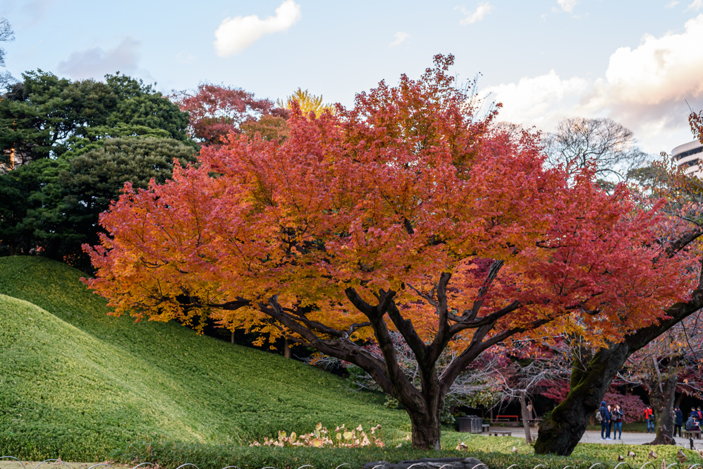 小石川後楽園