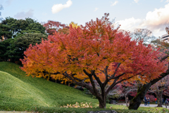 小石川後楽園