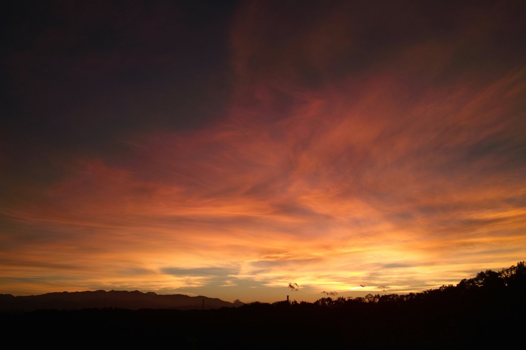 夕日