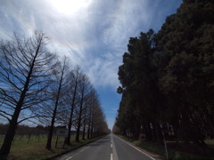 Street