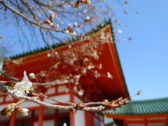 春の気配