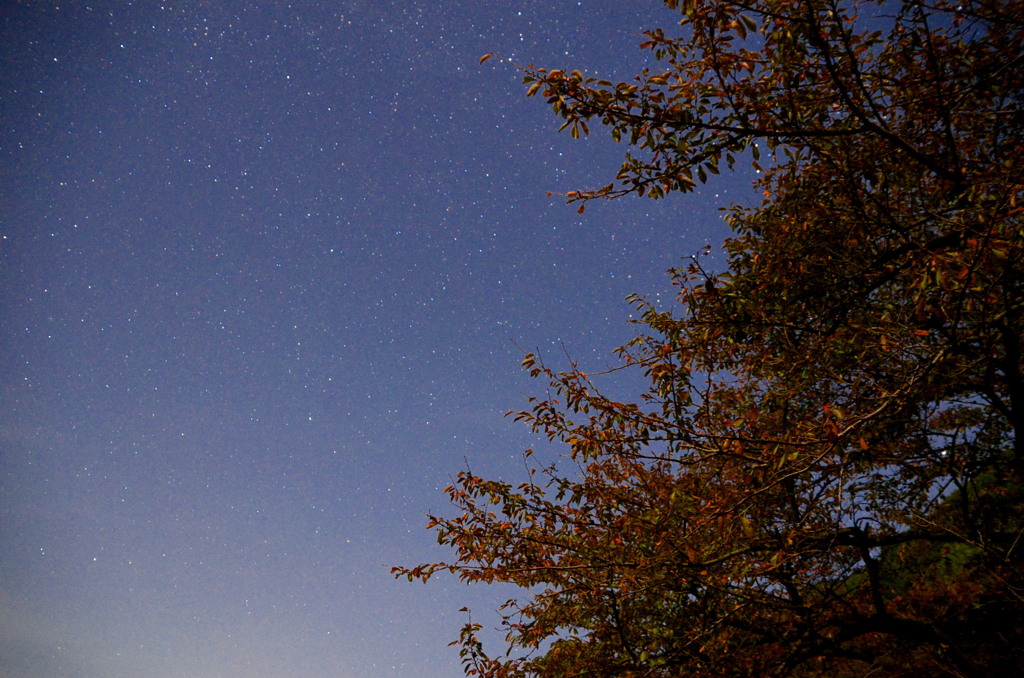 秋の夜空
