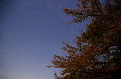 秋の夜空