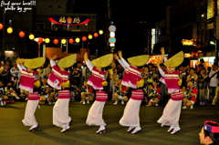 徳島阿波踊り