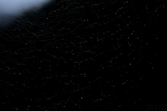 星座