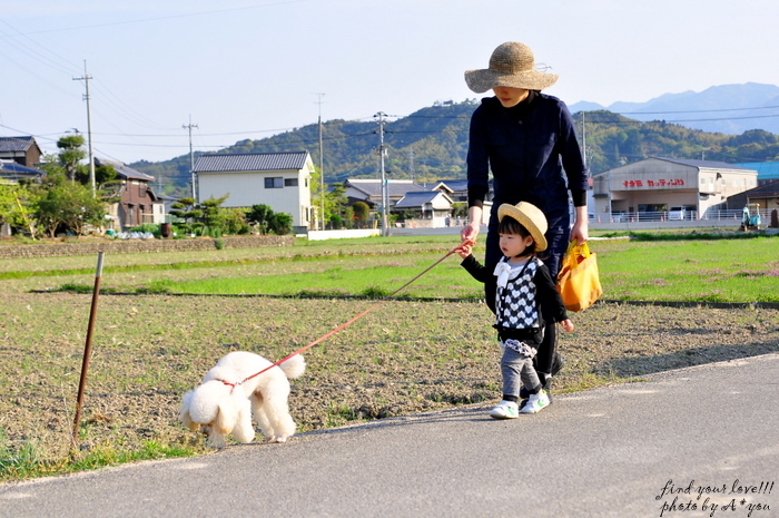 とある日の散歩