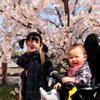 姉と弟と桜。