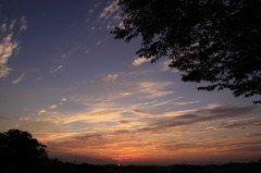夕日－５