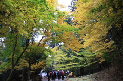 紅葉１８