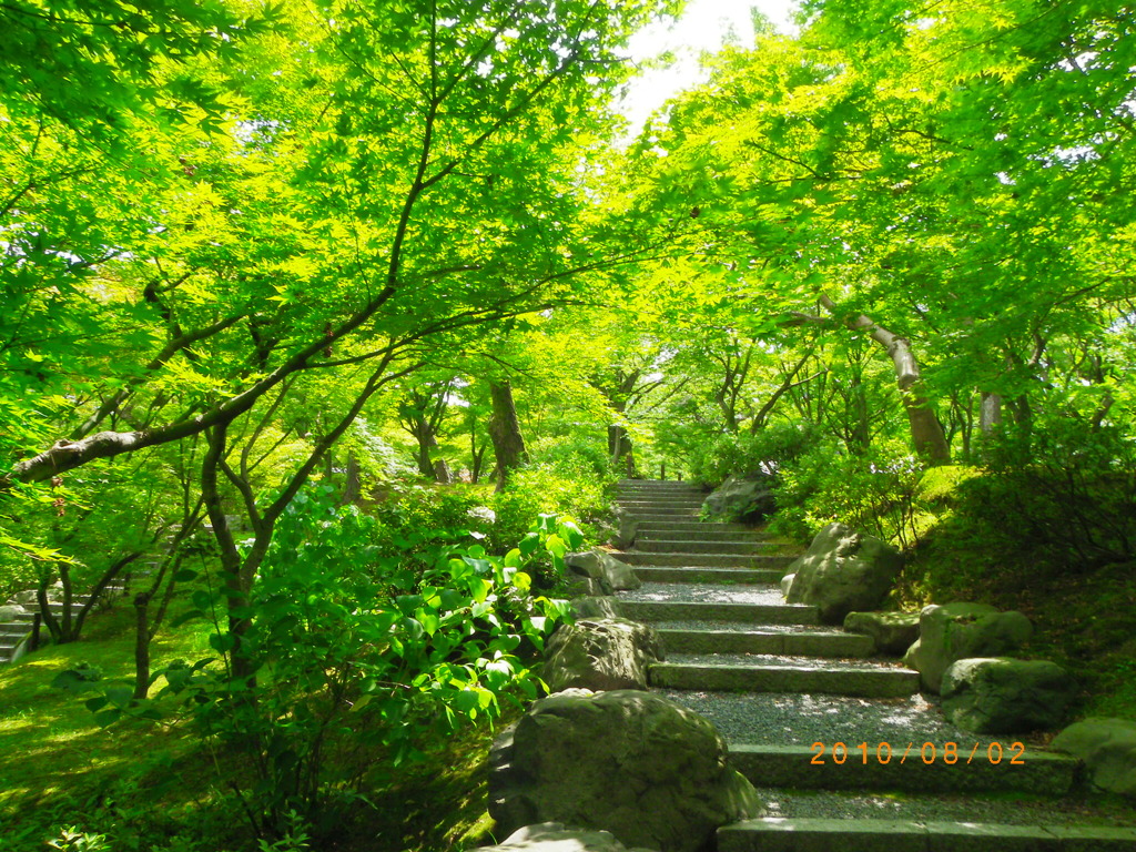 IMGP0119