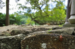 旅立ちの跡