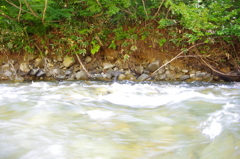 清水