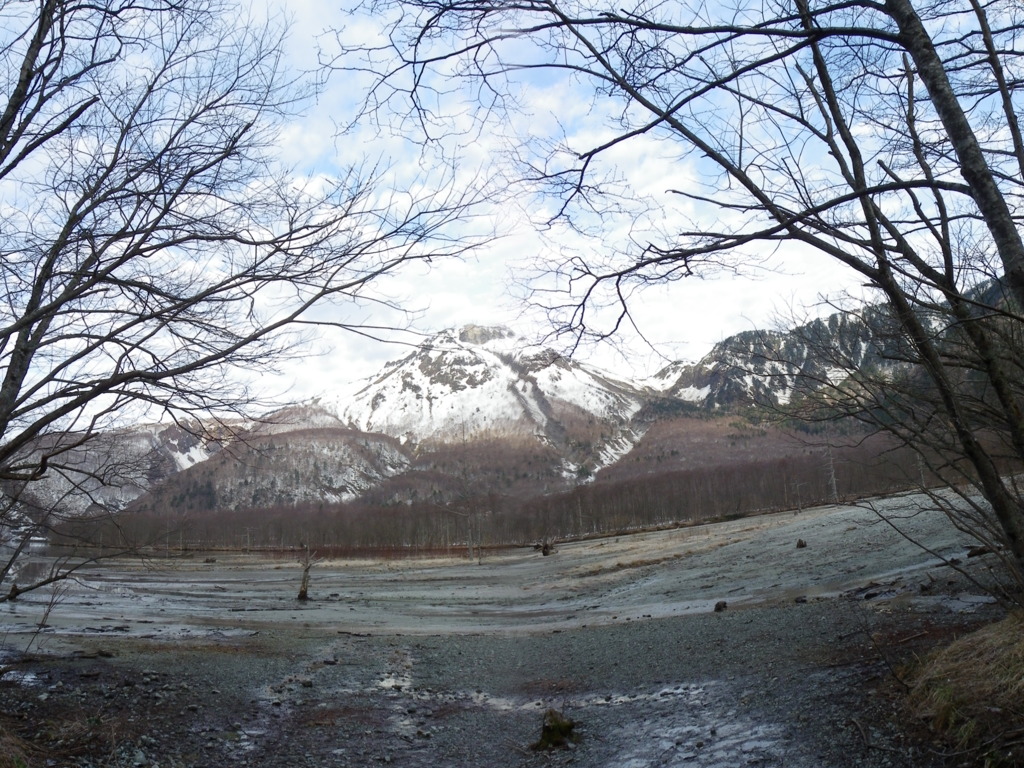 IMGP1353