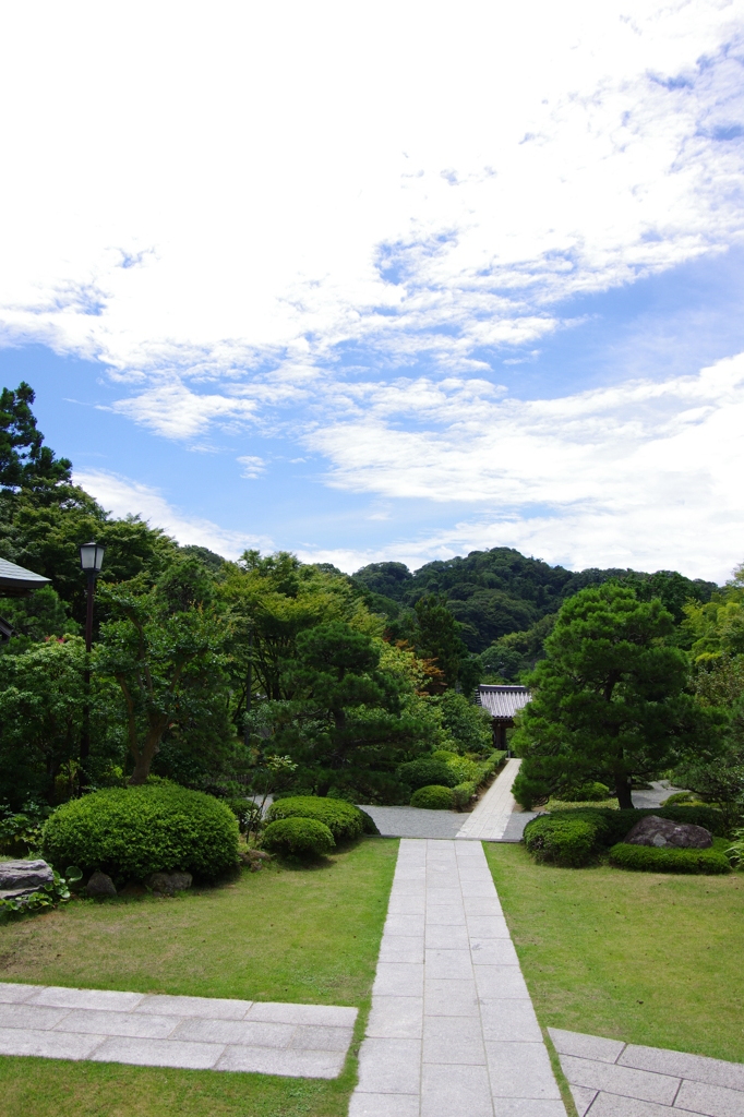 続く道