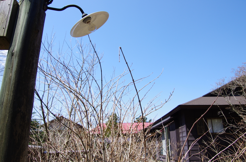 懐かしみ