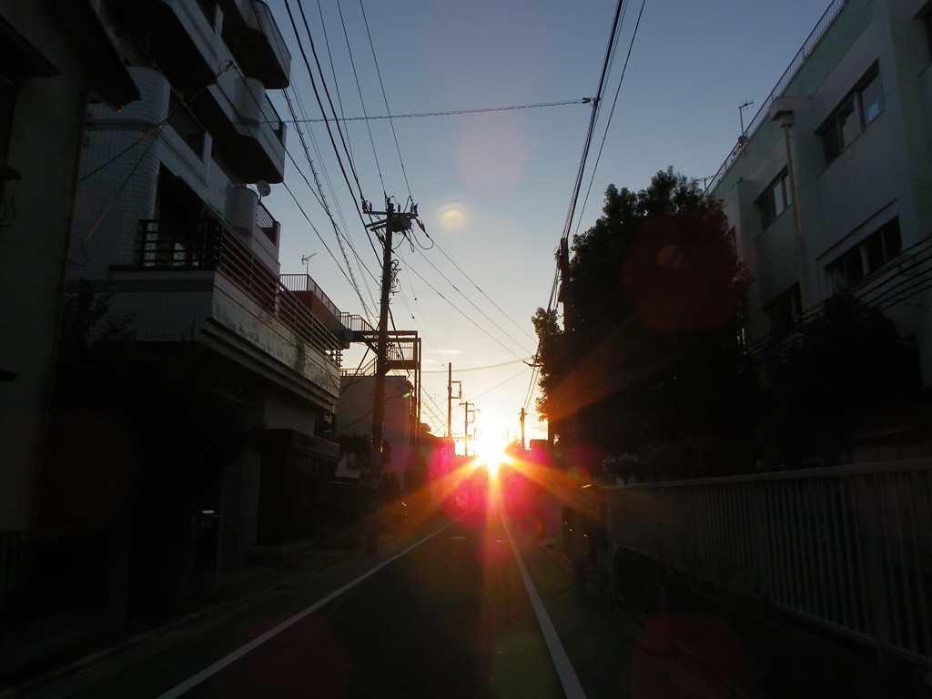新しい朝が来た