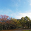IMGP0940