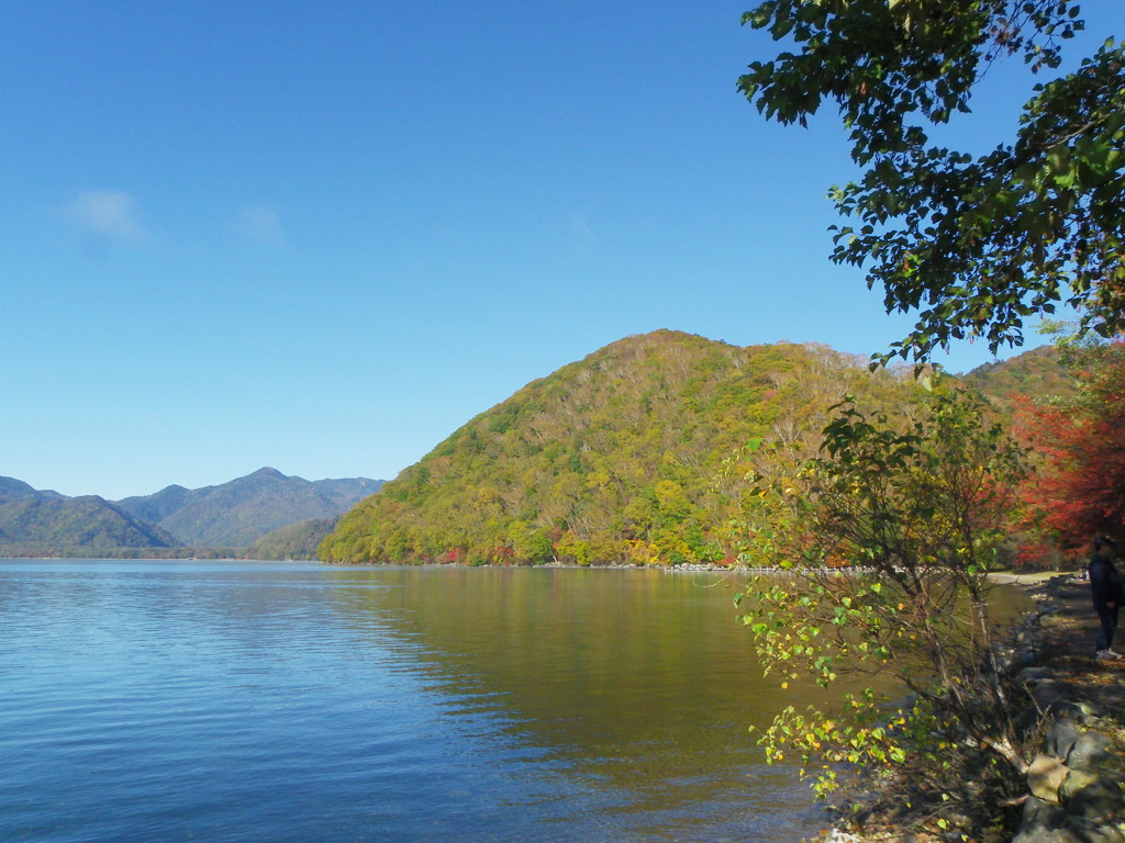 IMGP0978