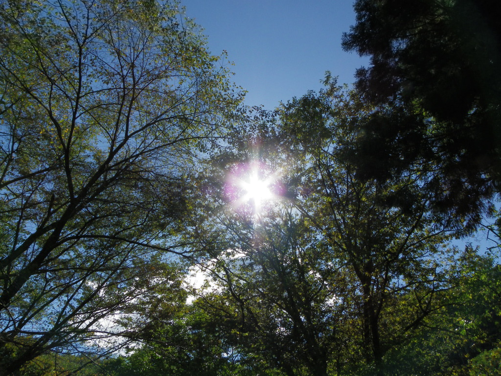 IMGP0927