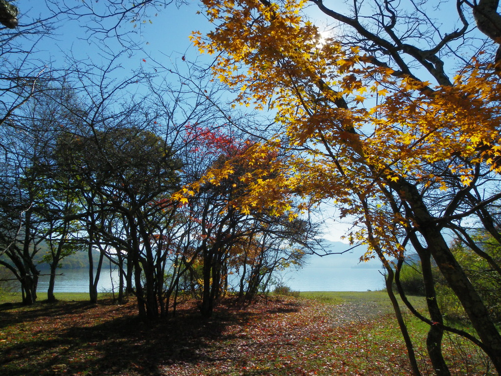 IMGP1028
