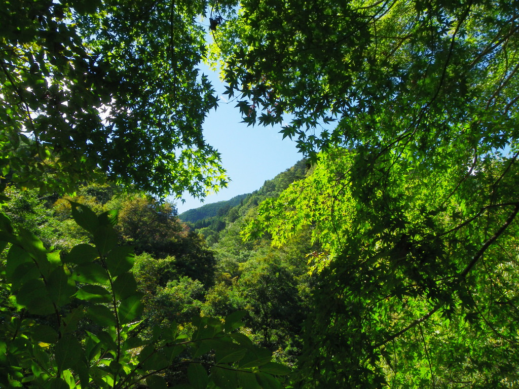IMGP0905