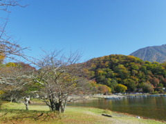 IMGP1022