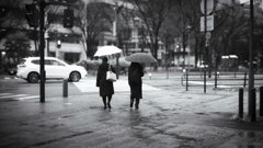 水曜日と雨の日は・・・
