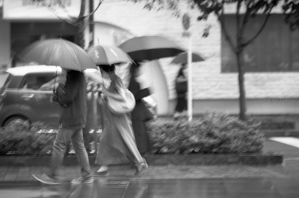 言葉少なに雨傘は揺れて