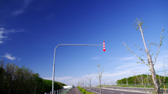 ↓　わたしはココにいます。