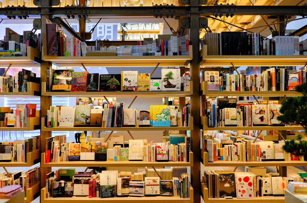 Bookshop