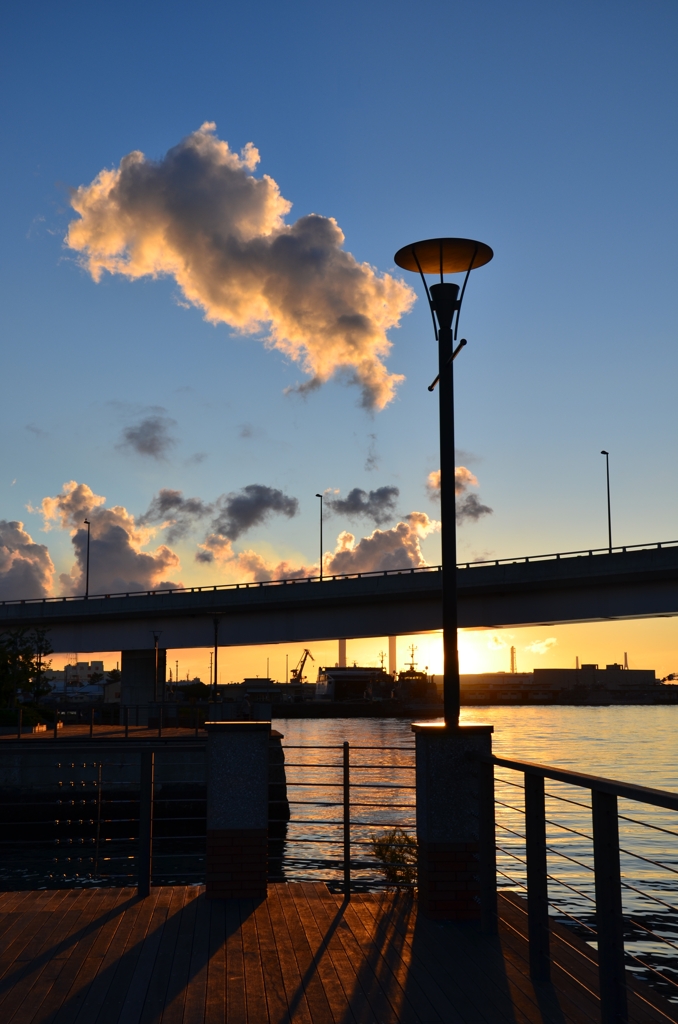 Cotton harbor twilight