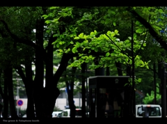 緑の街と、雨が降るまで・・・