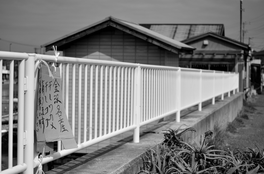 野島の春