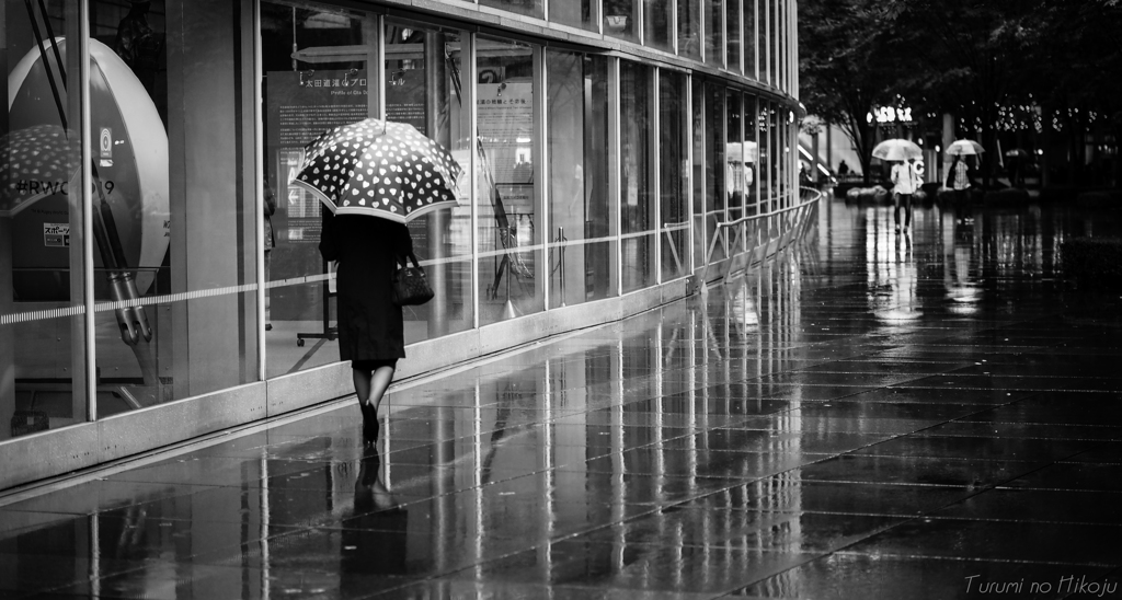 雨傘が恋しい日には