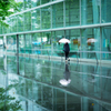 雨の日と金曜日には・・・