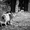 振り返った　2013