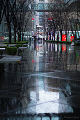 雨の日