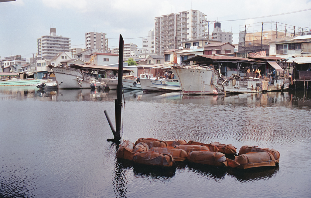 さざ波が癒す海