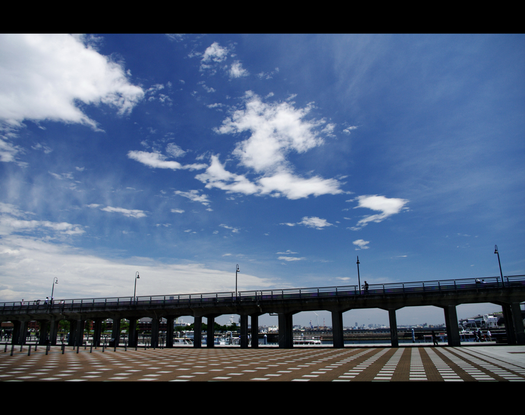 ここにも夏がやって来た！