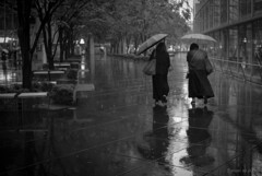 この日一番強い雨