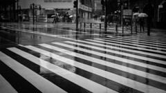 Rainy Season