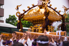 深川の神輿はデカい！