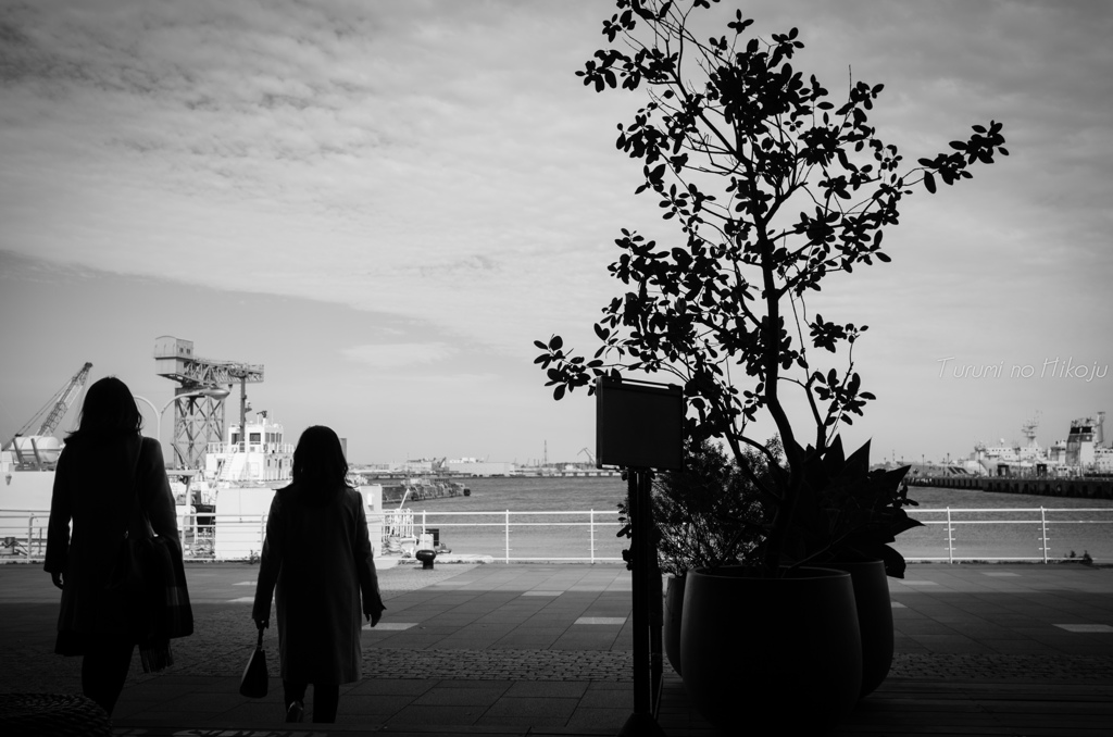 港を眺めるひと時